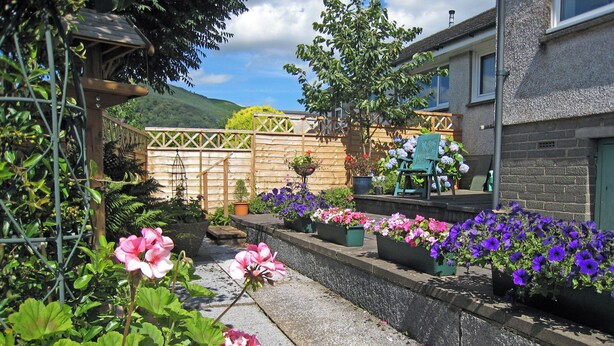 Een tuin met verschillende potplanten en bloemen, een houten omheining en een gebouw op de achtergrond.