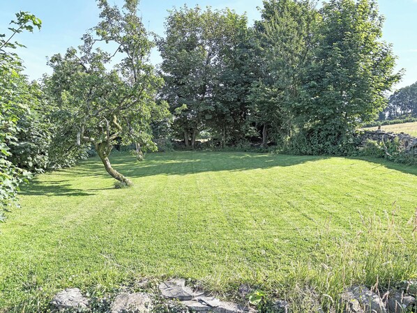 A grassy outdoor area with trees and a stone wall. - 3 bedroom accommodation in Blawith, near Coniston (Blawith, near Coniston)