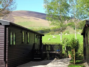 A rustic cabin with a wooden exterior, a porch with a railing, and a view of a green field with grazing sheep. - 3 bedroom accommodation in Keswick (Keswick)