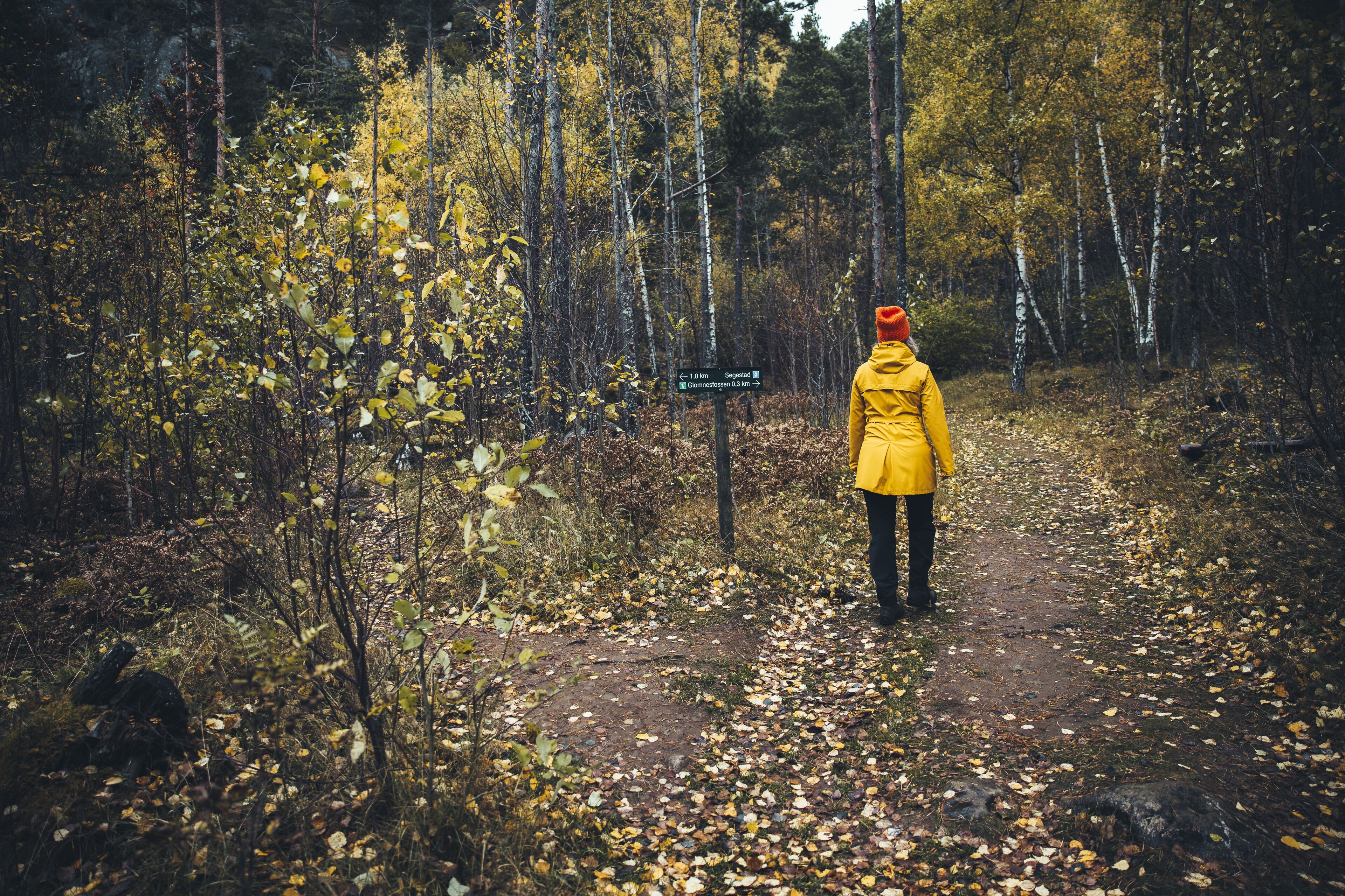 A person in a yellow jacket walking on a forest path.