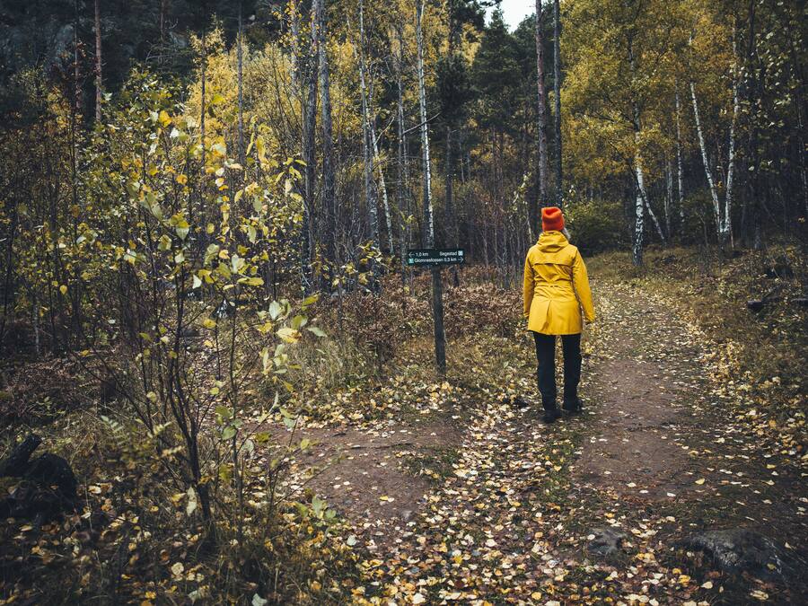 A person in a yellow jacket walking on a forest path.