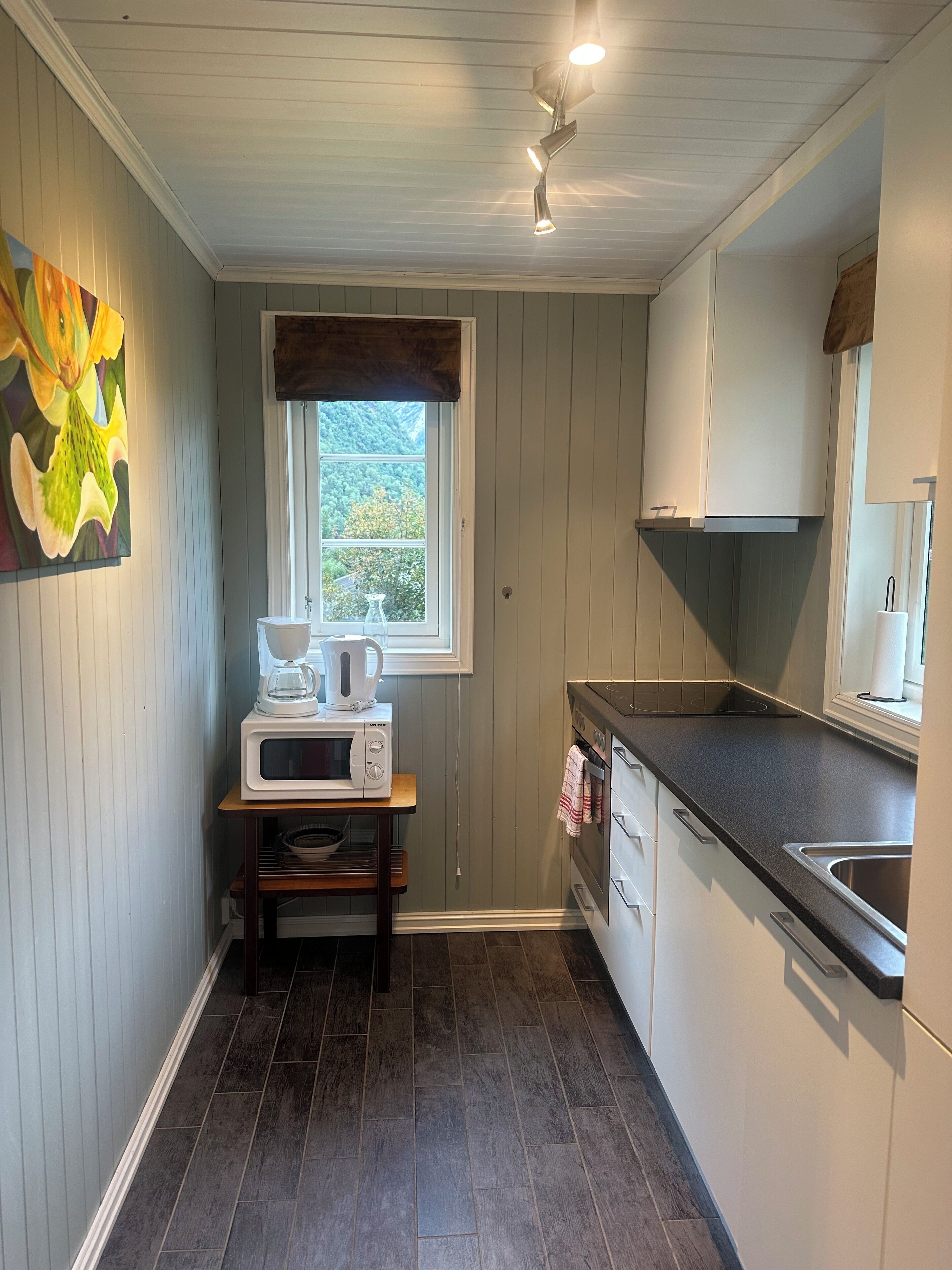 Una cocina compacta con ventana, microondas, hervidor y pileta.