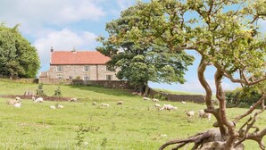 A stone house with a red roof, surrounded by a grassy field with sheep. - 5 bedroom accommodation in Kildale, near Whitby (Kildale, near Whitby)