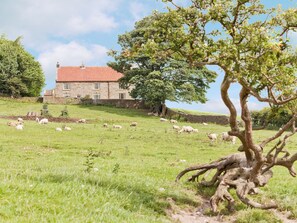 Property grounds - 5 bedroom accommodation in Kildale, near Whitby (Kildale, near Whitby)