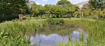 Rockville Cottage - 24376