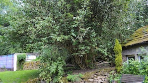 A stone wall with a bench and a tree in a garden setting. - Drum And Monkey Cottage (Chapel-en-le-Frith)