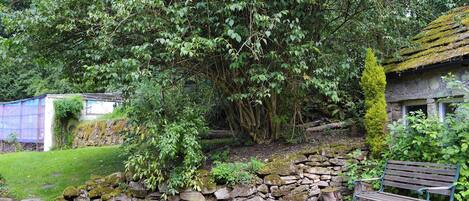 المنطقة المحيطة بالمنشأة