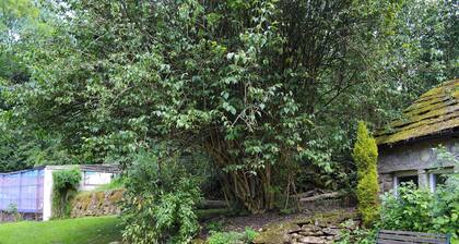 Drum And Monkey Cottage