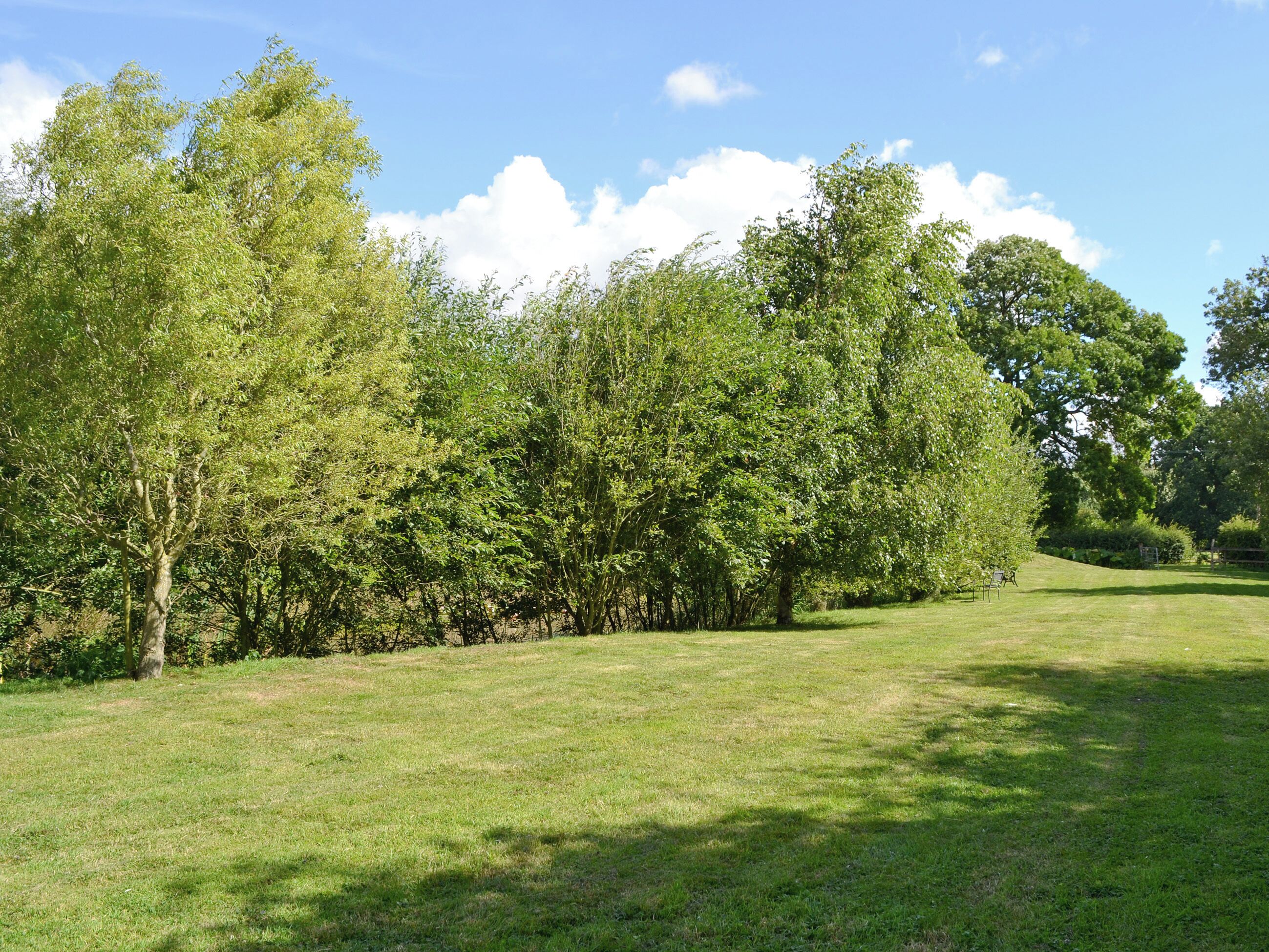 A grassy field with trees and a clear sky.