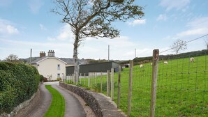 A rural pathway leading to a house with a stone wall and a fenced field with sheep.
