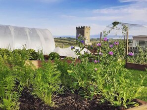 A rooftop garden with various plants and a castle-like structure in the background.
