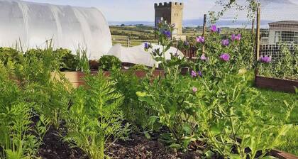 Old Barn Farmhouse - CC539038