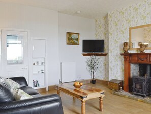 TV, fireplace, smart speakers
