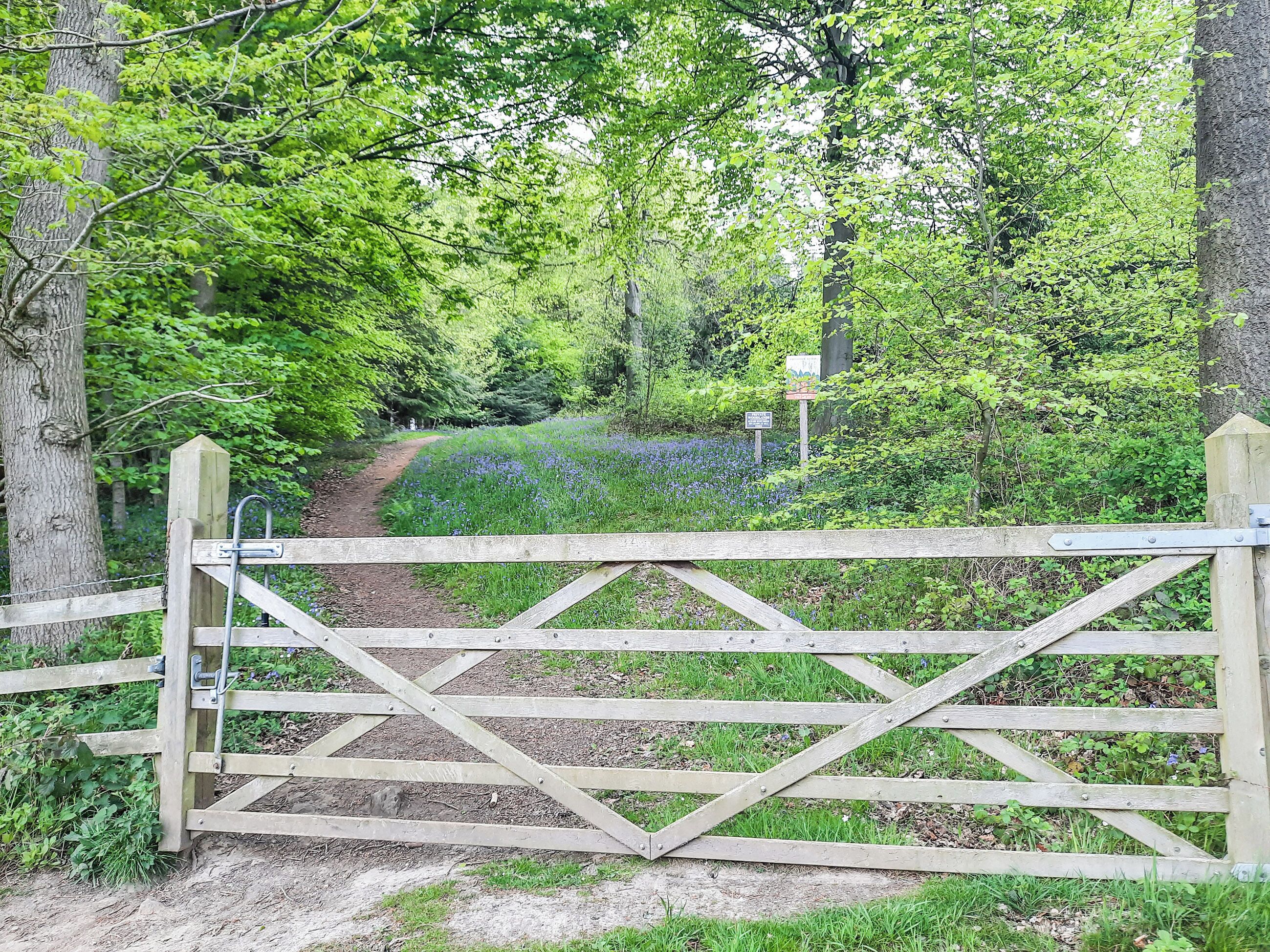 A wooden gate in a forested area with a dirt path leading through it.