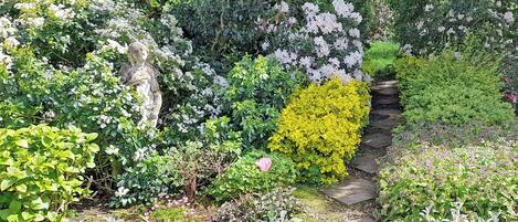 Àrea exterior de l'allotjament