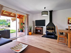 Smart TV, fireplace, books