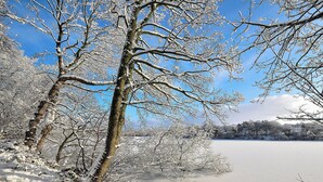 Rauhallinen talvimaisema, jossa on jäätynyt järvi, lumipeitteiset puut ja kirkkaan sininen taivas.