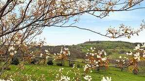 A rural landscape with blooming trees and a distant hill with a tower. - 2 bedroom accommodation in Almondbury (Almondbury)