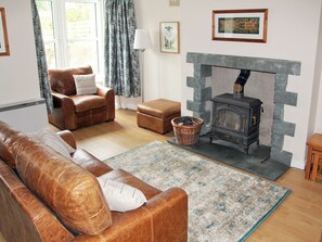 Fernseher, Kamin
