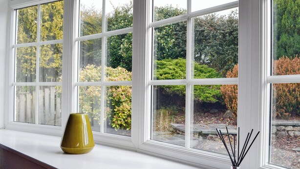 Ein Fenster mit weißem Rahmen und freiem Blick auf einen Garten mit verschiedenen Pflanzen und Bäumen.