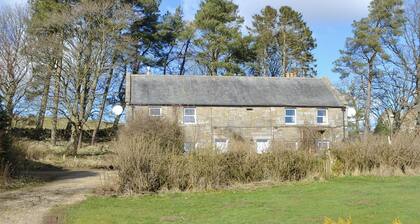 Birch Cottage – 15841