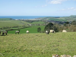 A rural landscape with grazing sheep, rolling green fields, and a distant village. - 4 bedroom accommodation in Bothenhampton, near Bridport (Bothenhampton, near Bridport)