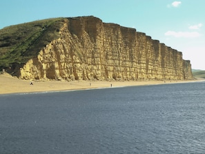 A coastal cliff with a beach in the foreground.