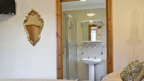 Un dormitorio con cama, espejo, baño con lavabo y ducha.