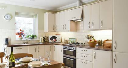 The But N' Ben - 28139