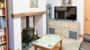 Een gezellige woonkamer met een open haard, een televisie, een boekenkast en een salontafel.