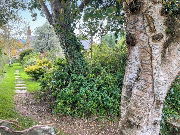 A pathway leading through a garden with a large tree and dense shrubbery. - 2 bedroom accommodation in North Chideock, near Bridport (North Chideock, near Bridport)