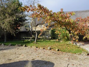 Terrain de l’hébergement 