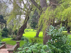 A lush garden with mature trees, a grassy lawn, and a picnic table.