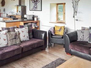 TV, fireplace - 2 bedroom accommodation in Chapel Lawn, near Bucknell (Chapel Lawn, near Bucknell)
