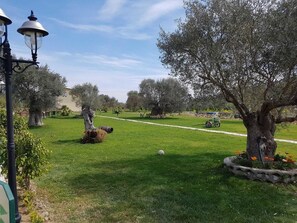 Standard Double or Twin Room, Garden View | View from room - Agriturismo Donna Beatrice (Ardore)