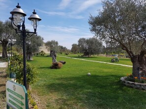 Jardines del alojamiento