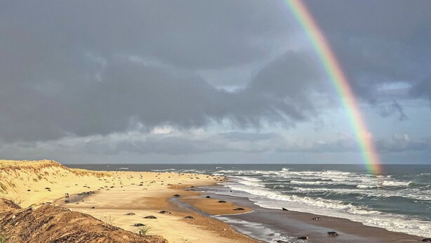 A beach with a rainbow, waves, and a cloudy sky. - Captain's Cottage - 27888 (Winterton-on-Sea)