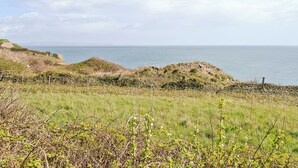 Un paysage côtier caractérisé par un terrain herbeux et une vue sur la mer.