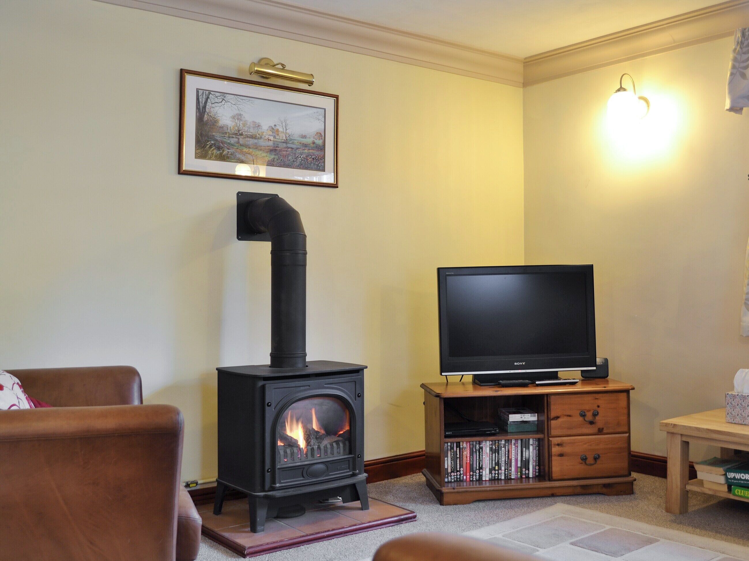A living room with a black wood-burning stove, a television on a wooden stand, and a bookshelf filled with DVDs.