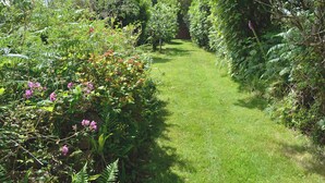 A narrow, grassy pathway surrounded by dense foliage and various plants. - 1 bedroom accommodation in Nancledra, near Penzance (Nancledra, near Penzance)
