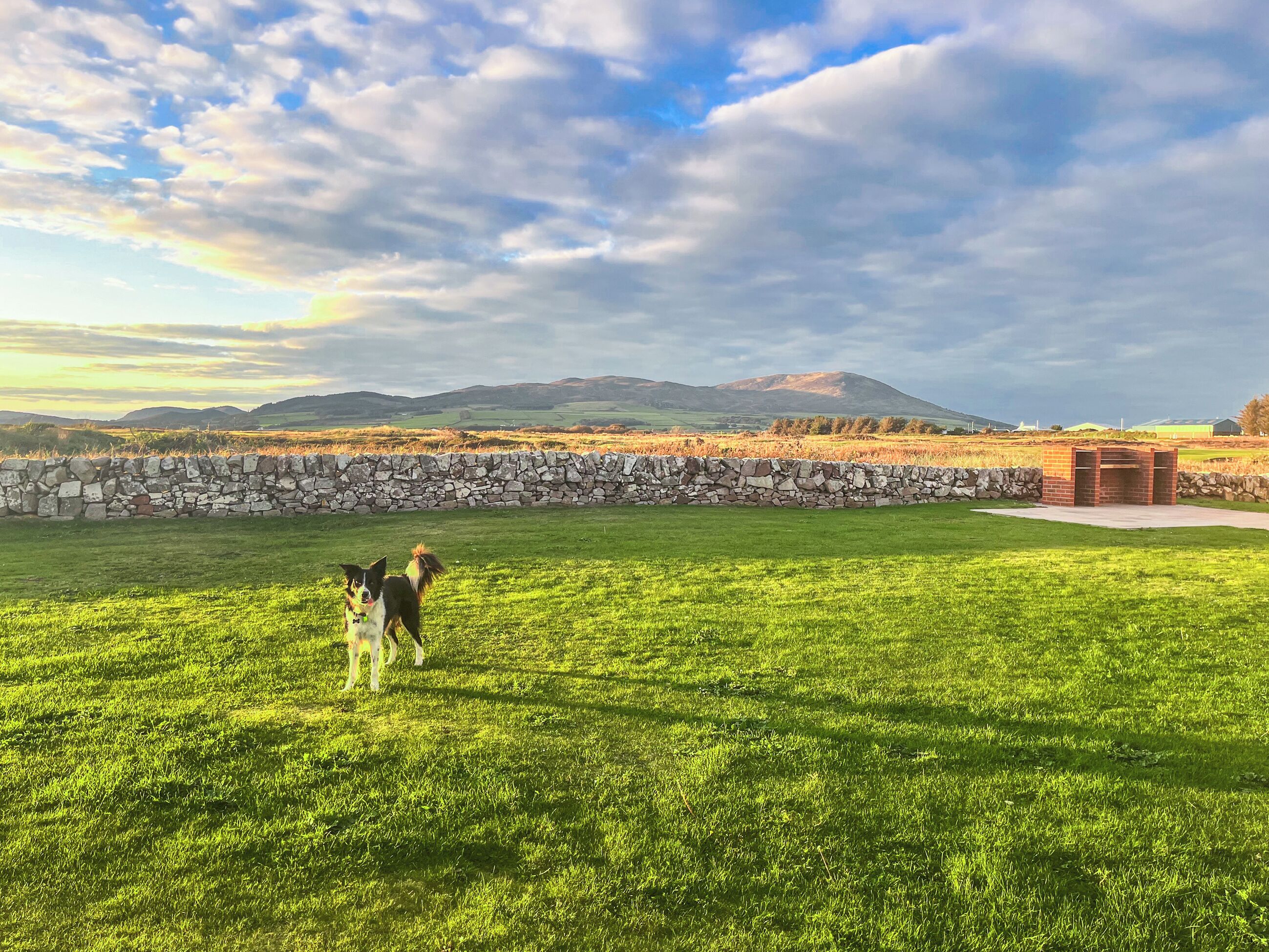 A grassy field with a stone wall and a brick structure.