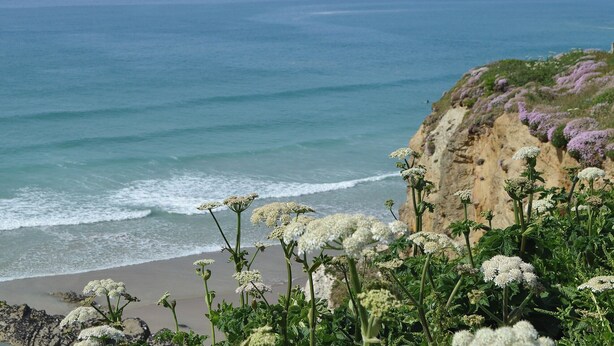 Paisagem costeira com praia, oceano e vegetação.