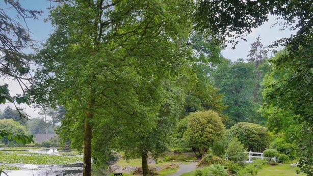 Un parque con un sendero de grava, una mesa de picnic y un estanque.