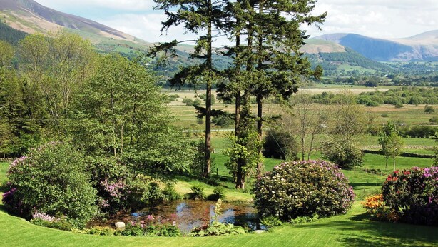 A well-maintained garden with a pond, various shrubs, and trees. - 2 bedroom accommodation in Thornthwaite (Thornthwaite)