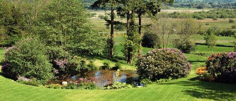 Áreas de la propiedad