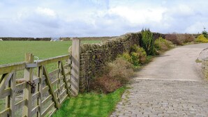 A rural pathway leading to a stone wall and a grassy field.