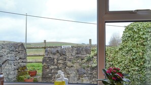 A kitchen counter with a bottle of lemon oil, a potted plant, and a window view of a stone wall and greenery. - 1 bedroom accommodation in Peak Forest, near Buxton (Peak Forest, near Buxton)