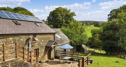 Llandremor Fawr Cottage - CC633009