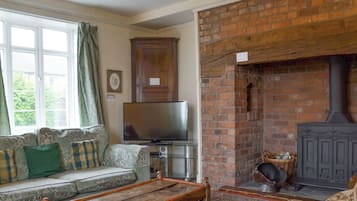 TV, fireplace