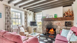 A cozy living room with a stone fireplace, two pink sofas, a television, and a decorative mantelpiece. - TY NEWYDD Y GRAIG - 28017 (Tremeirchion, near St. Asaph)
